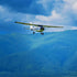 Cerere in casatorie in avion